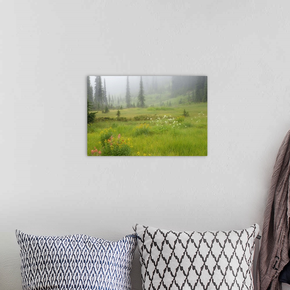 A bohemian room featuring Canada, British Columbia, Revelstoke National Park. Misty meadow scenic.  Credit as: Don Paulson ...