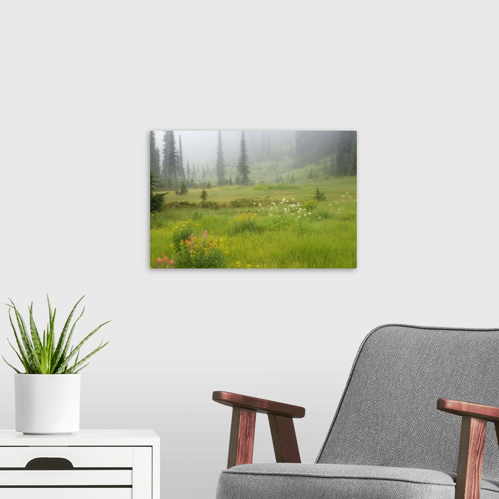 A modern room featuring Canada, British Columbia, Revelstoke National Park. Misty meadow scenic.  Credit as: Don Paulson ...