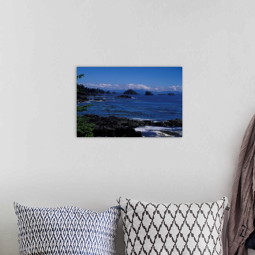 A bohemian room featuring Canada, British Columbia, Vancouver Island.Tofino.Rocky beach and tide pools
