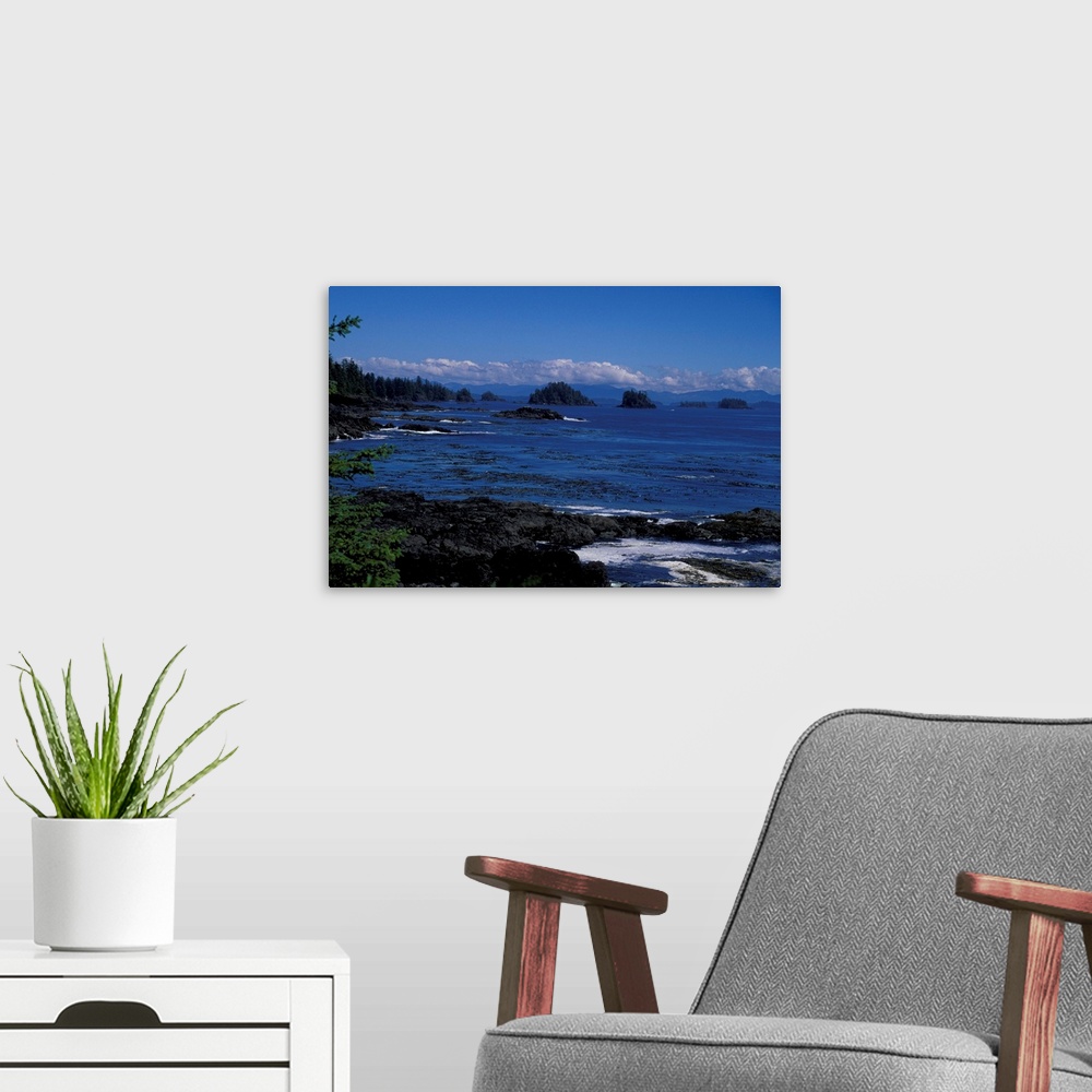 A modern room featuring Canada, British Columbia, Vancouver Island.Tofino.Rocky beach and tide pools