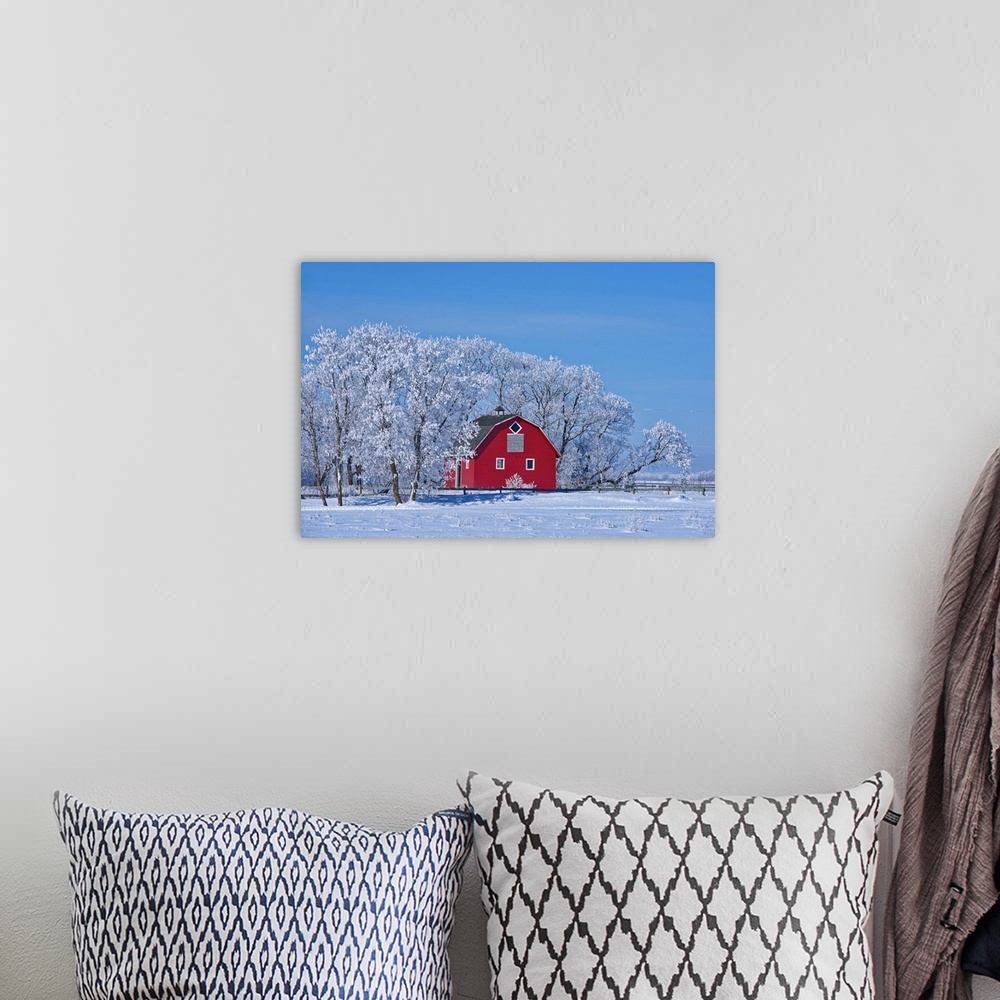 A bohemian room featuring Canada, Manitoba, deacon's corner. Red barn surrounded by trees covered with hoarfrost.