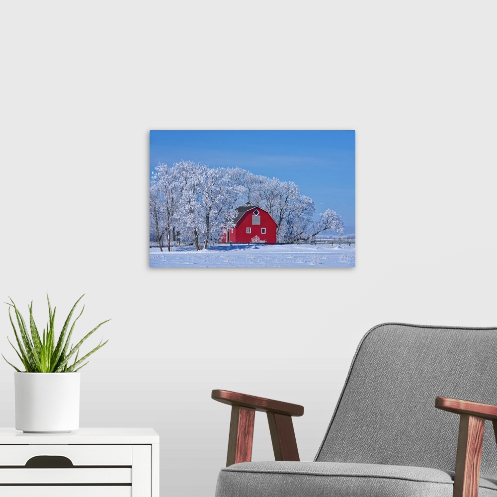 A modern room featuring Canada, Manitoba, deacon's corner. Red barn surrounded by trees covered with hoarfrost.