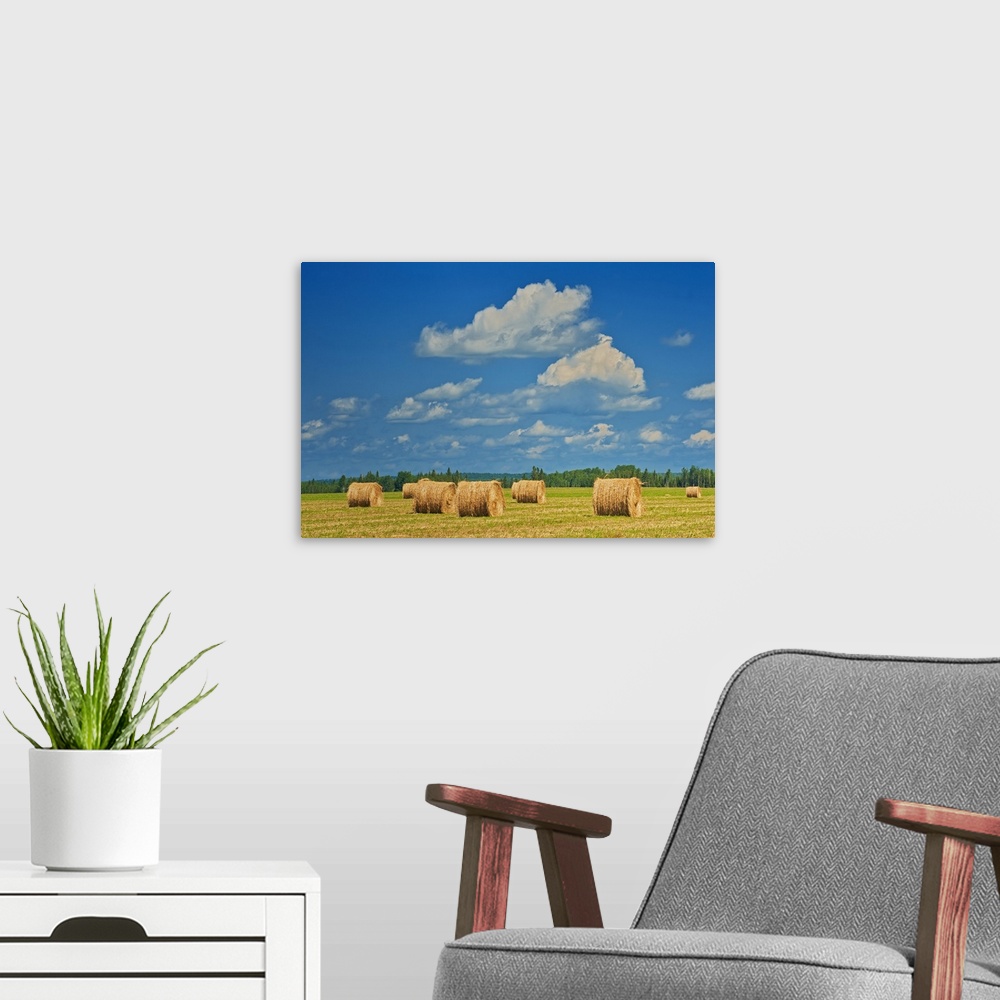 A modern room featuring Canada, Ontario, New Liskeard. Hay bales in farm field.
