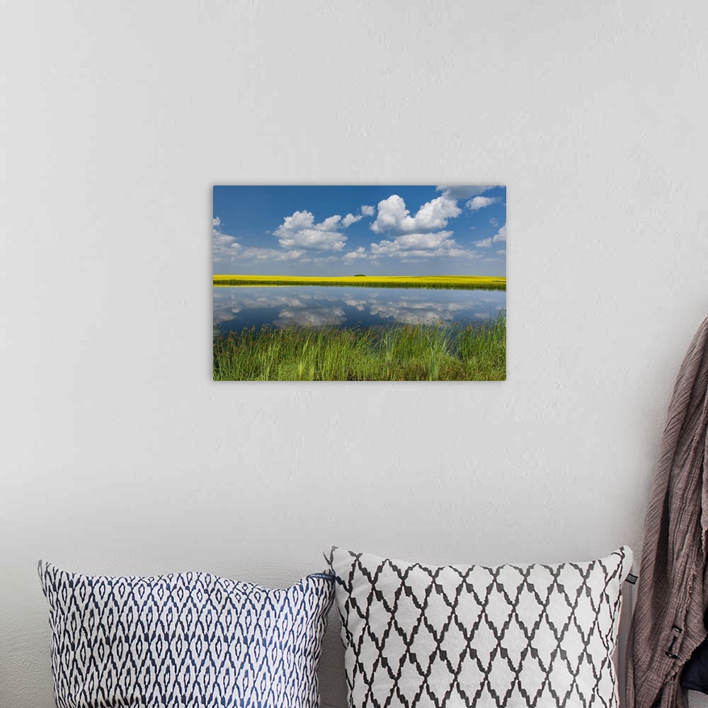 A bohemian room featuring Canada, Saskatchewan, Viscount. Reflection in prairie pond water and canola crop.