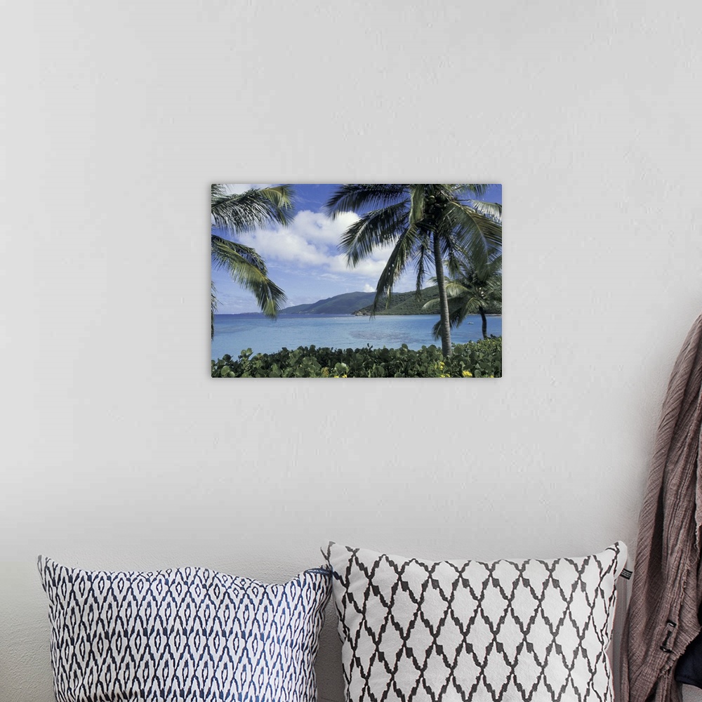 A bohemian room featuring CARIBBEAN, British Virgin Islands, Virgin Gorda.Little Dix Bay through palm trees