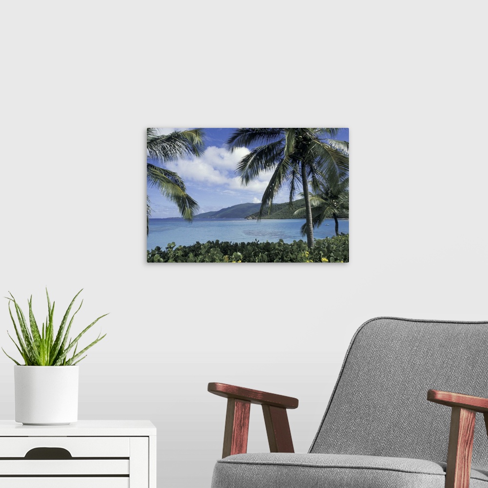 A modern room featuring CARIBBEAN, British Virgin Islands, Virgin Gorda.Little Dix Bay through palm trees