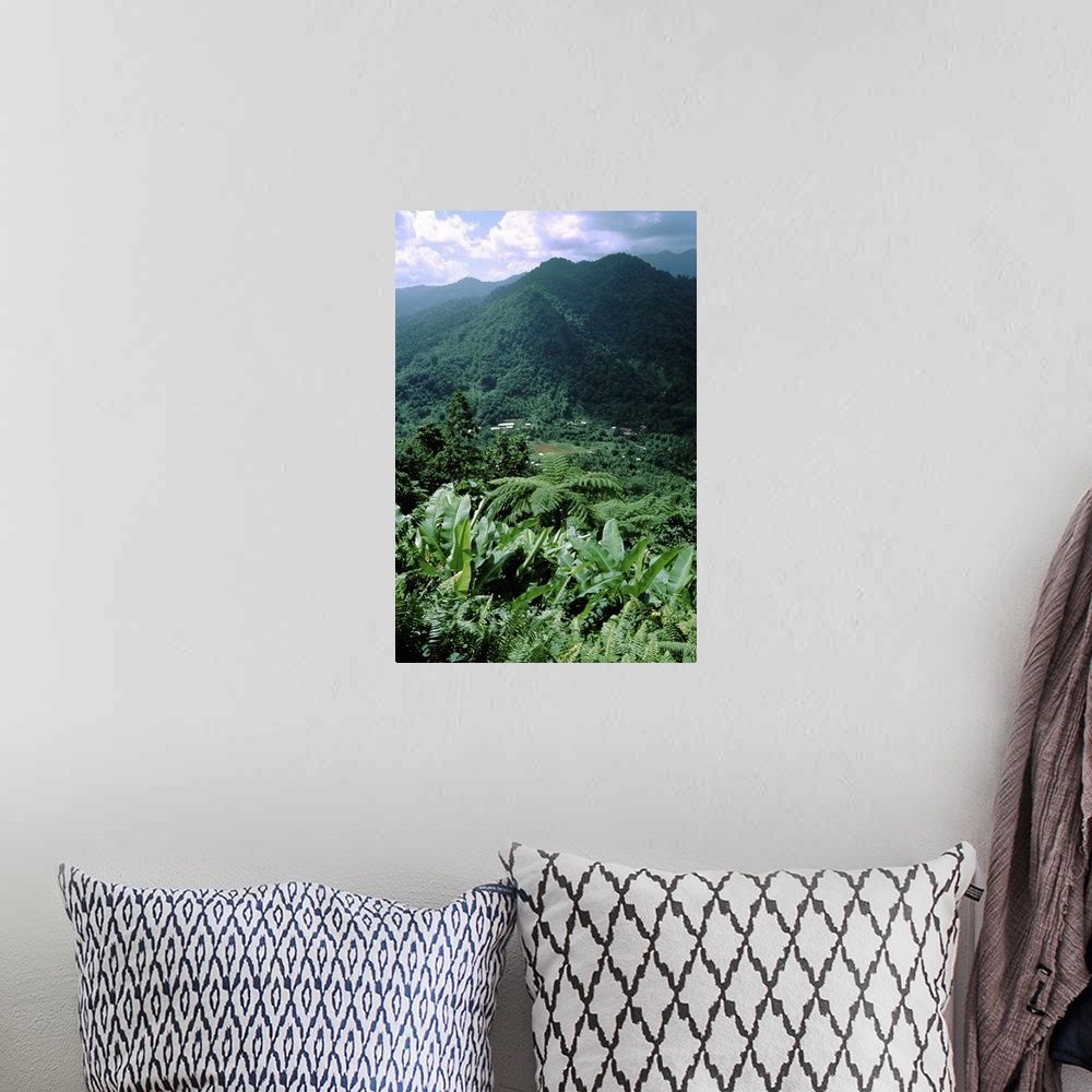 A bohemian room featuring Caribbean, Island of Dominica (aka Nature Island). Lush tropical island landscape.