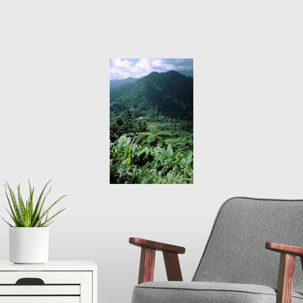A modern room featuring Caribbean, Island of Dominica (aka Nature Island). Lush tropical island landscape.