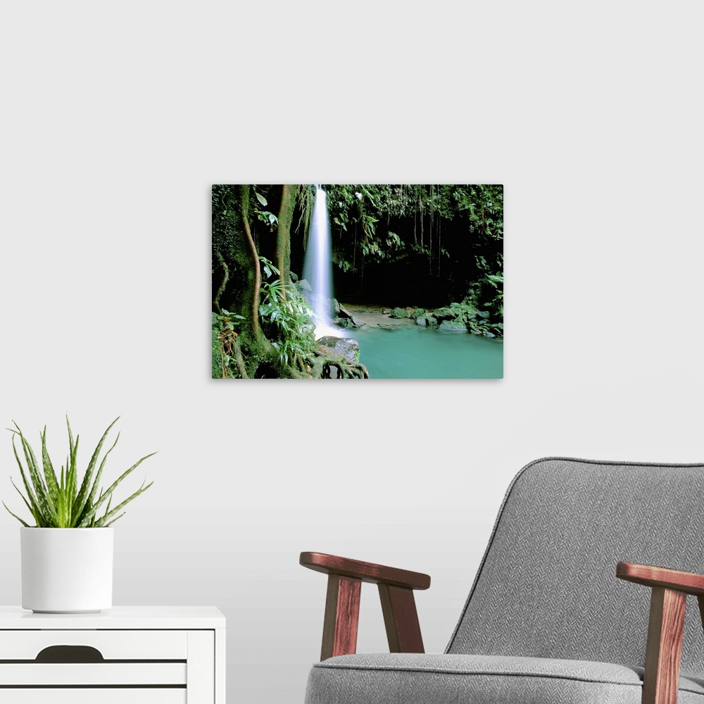 A modern room featuring Caribbean, Island of Dominica (aka Nature Island). Trois Piton National Park, Emerald Pool