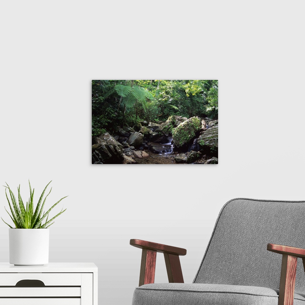 A modern room featuring A water fall in the El Yunque rain forest of Puerto Rico...water, fall, waterfall, rain forest, f...