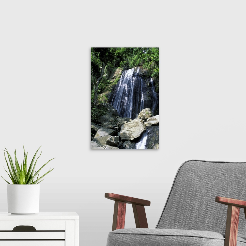 A modern room featuring Caribbean, USA, Puerto Rico, El Yunque National Rain Forest. Waterfall
