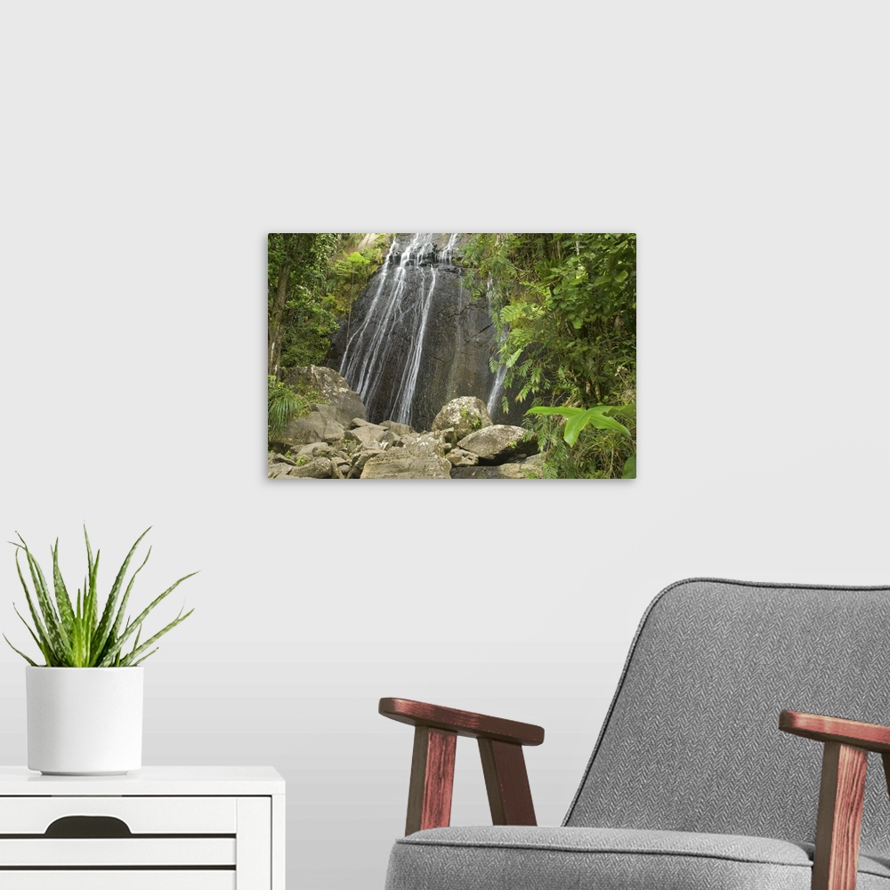 A modern room featuring Caribbean, Puerto Rico, El Yunque rain forest, Caribbean National Forest. La Coca Falls.