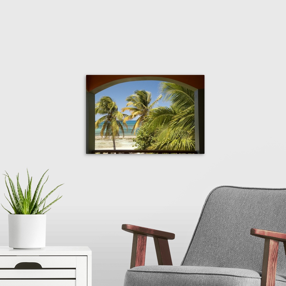 A modern room featuring Caribbean, Puerto Rico, Vieques.  Caribbean, beach and palm trees, viewed from porch of house/hot...