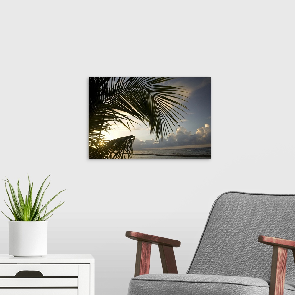 A modern room featuring Caribbean, Puerto Rico, Vieques.   Palm frond and beach at sunset.