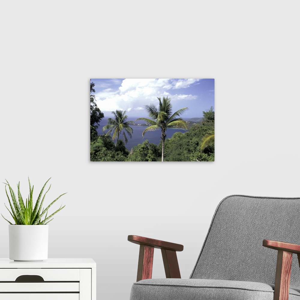 A modern room featuring CARIBBEAN, St. Thomas.Magens Beach through palm trees