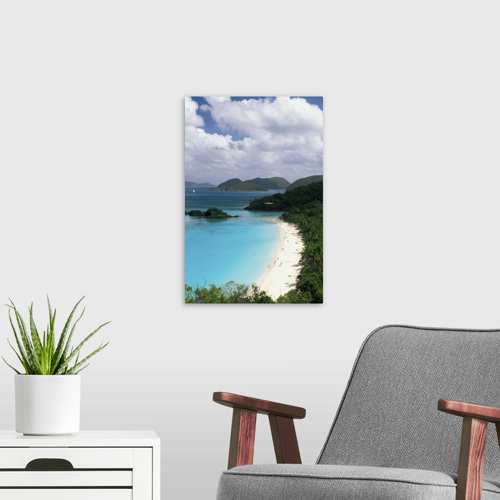A modern room featuring Caribbean, US Virgin Islands, St. John. Trunk Bay overview