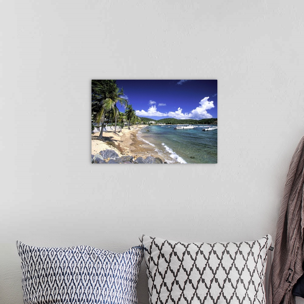 A bohemian room featuring Caribbean, US Virgin Islands, St. Thomas, Bolongo Bay. Beach and bay view