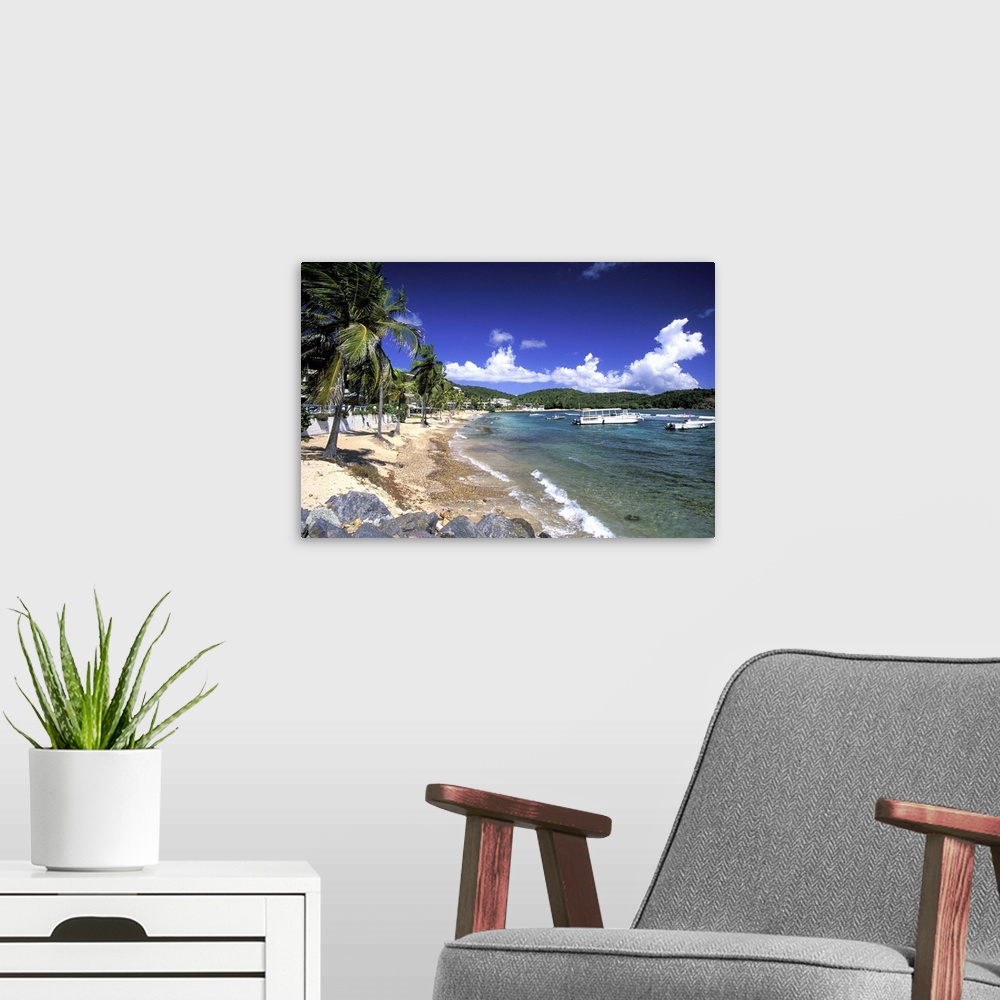 A modern room featuring Caribbean, US Virgin Islands, St. Thomas, Bolongo Bay. Beach and bay view