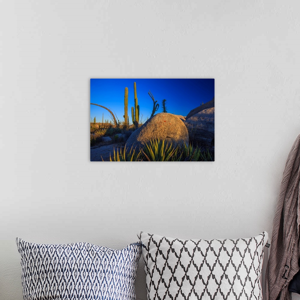 A bohemian room featuring Catavina Desert, Baja California, Mexico.