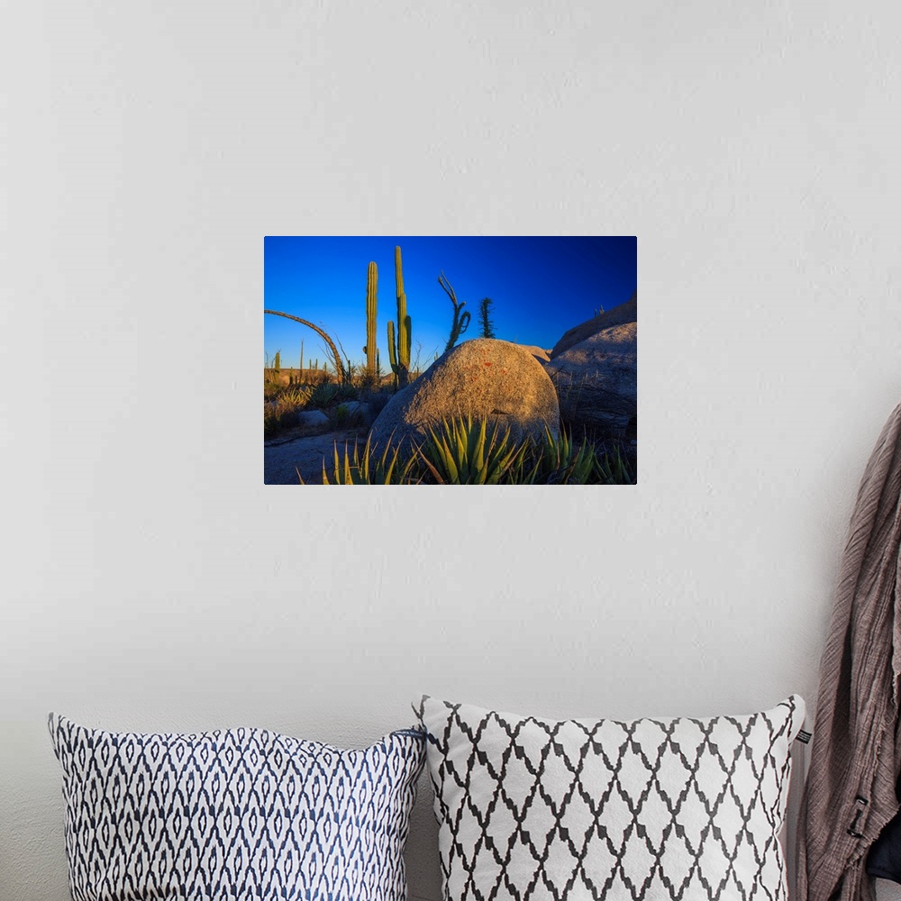 A bohemian room featuring Catavina Desert, Baja California, Mexico.