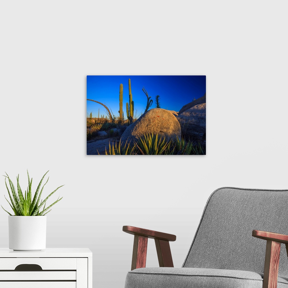 A modern room featuring Catavina Desert, Baja California, Mexico.
