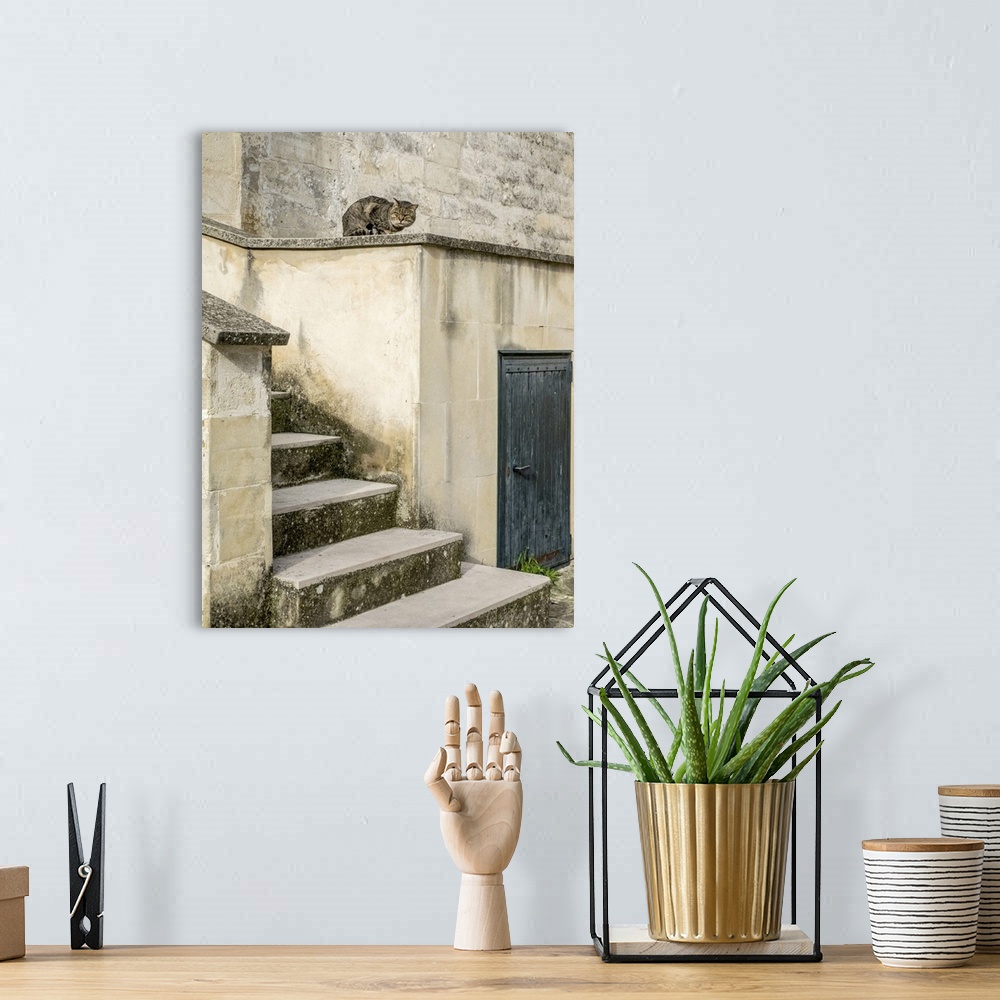 A bohemian room featuring Cats roaming the cave dwelling town of Matera.