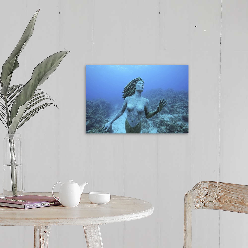 A farmhouse room featuring Cayman Islands, Grand Cayman Island, Underwater view mermaid sculpture in shallow coral reefs in ...
