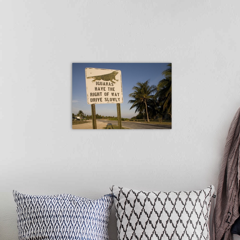 A bohemian room featuring Cayman Islands, Little Cayman Island, Iguana Crossing Sign along country road