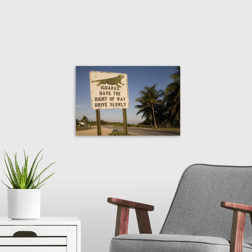 A modern room featuring Cayman Islands, Little Cayman Island, Iguana Crossing Sign along country road
