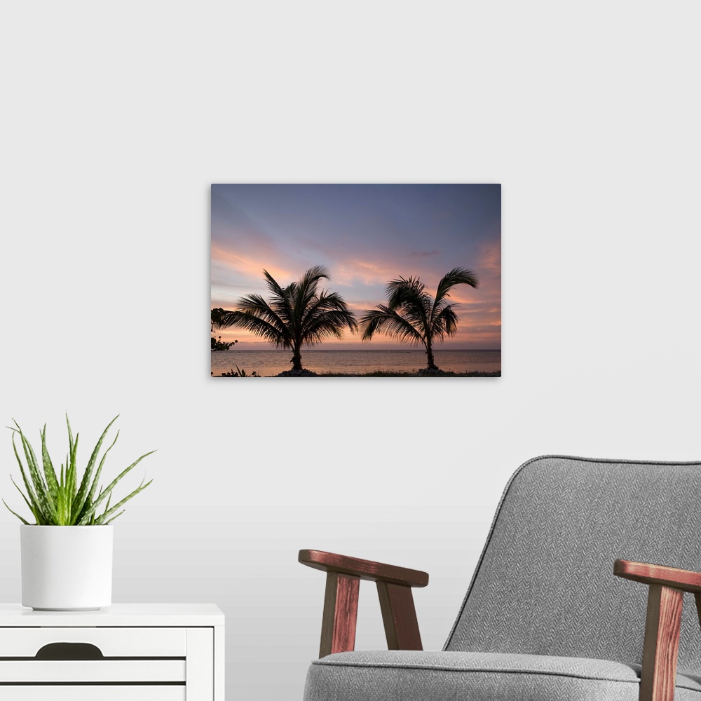 A modern room featuring Cayman Islands, Little Cayman Island, Silhouette of palm trees as sunset lights clouds above Cari...