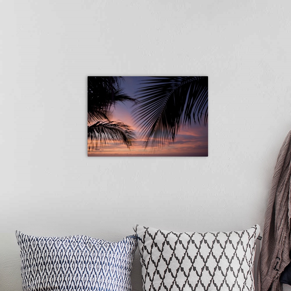 A bohemian room featuring Cayman Islands, Little Cayman Island, Silhouette of palm trees as sunset lights clouds above Cari...