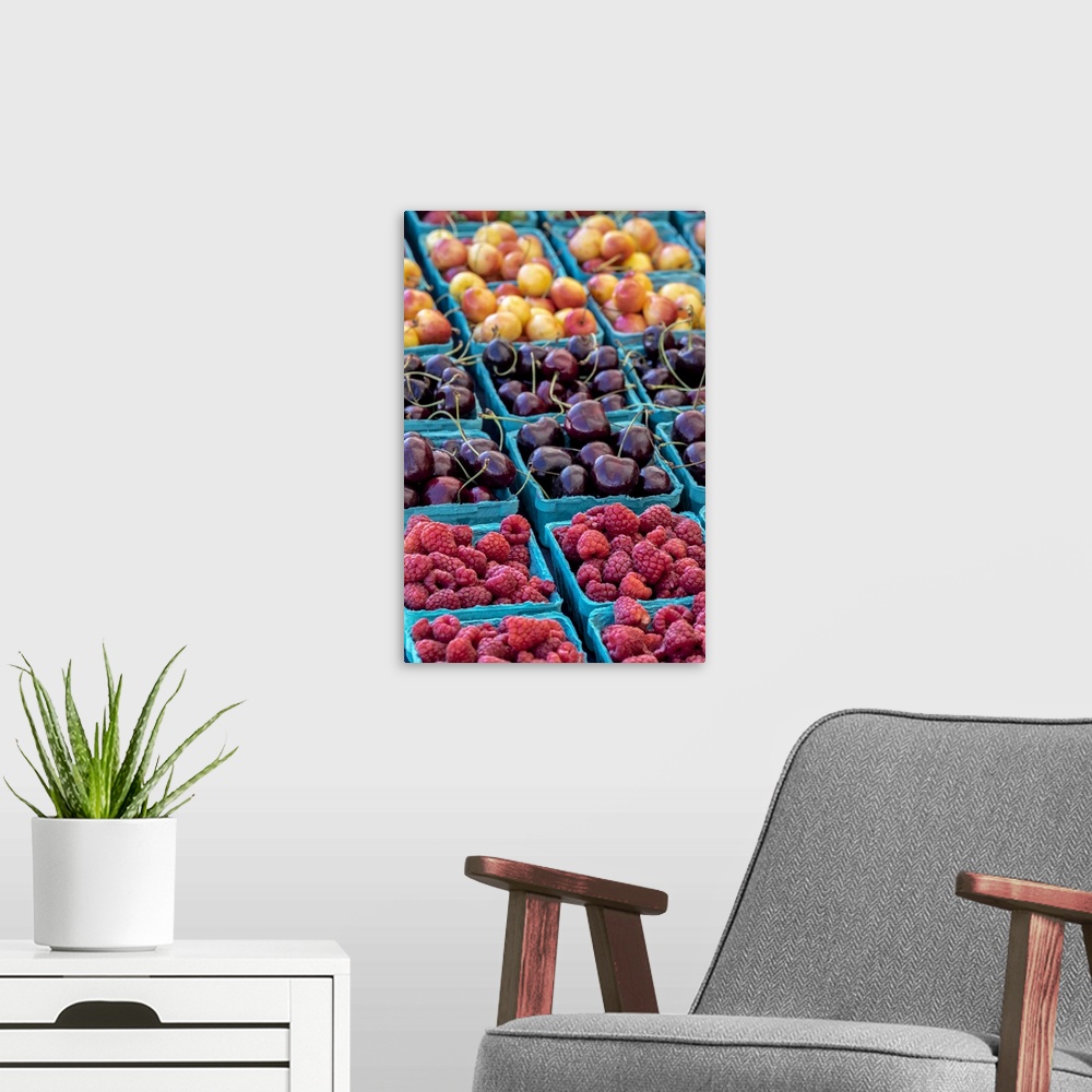 A modern room featuring Cherries And Berries, USA