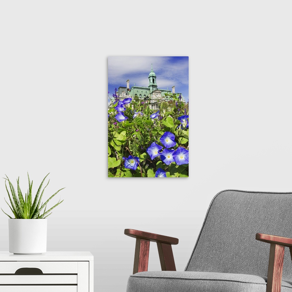 A modern room featuring USA, Canada, Montreal. View of City Hall building behind flowers. Credit: Dennis Flaherty