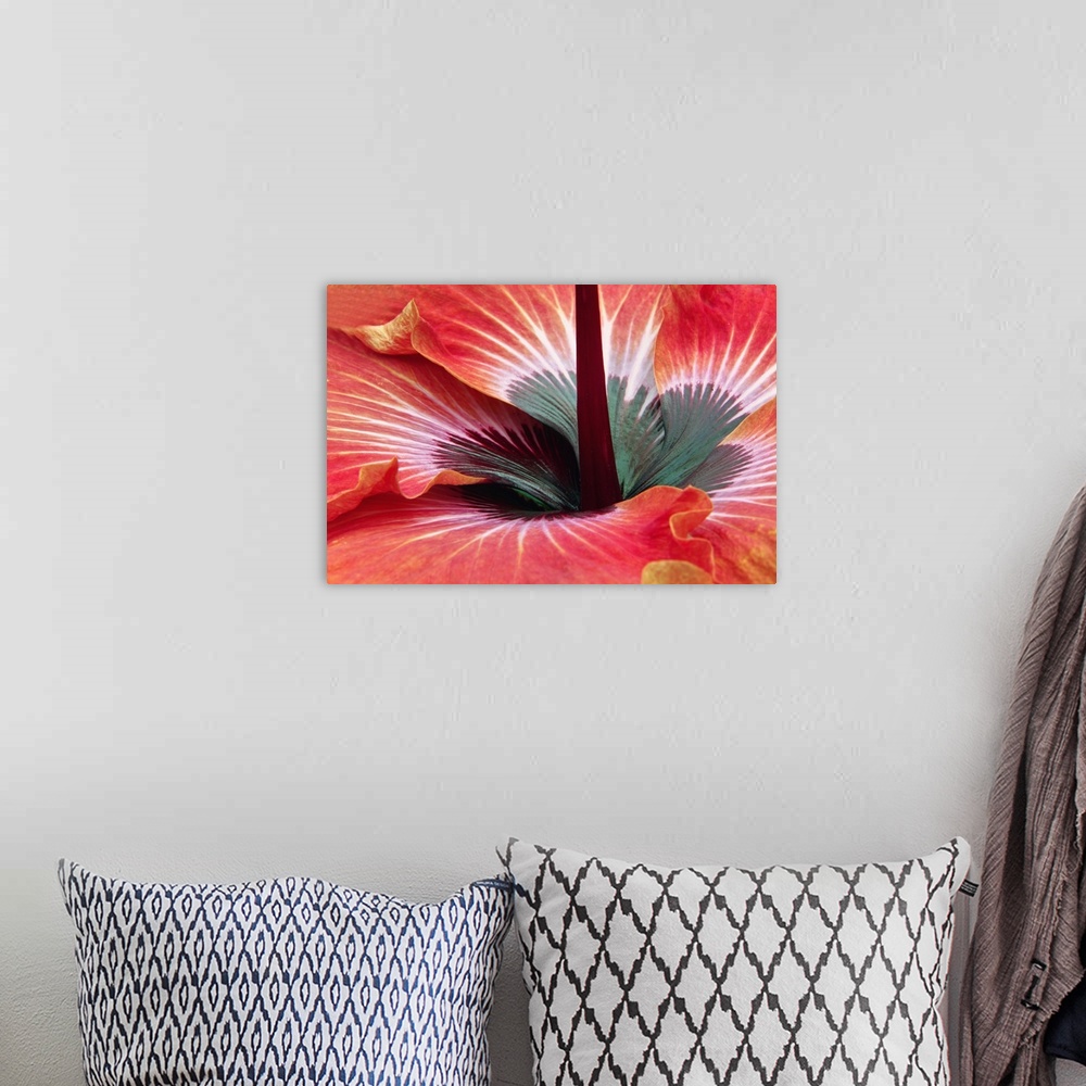 A bohemian room featuring Close-up of hibiscus flower