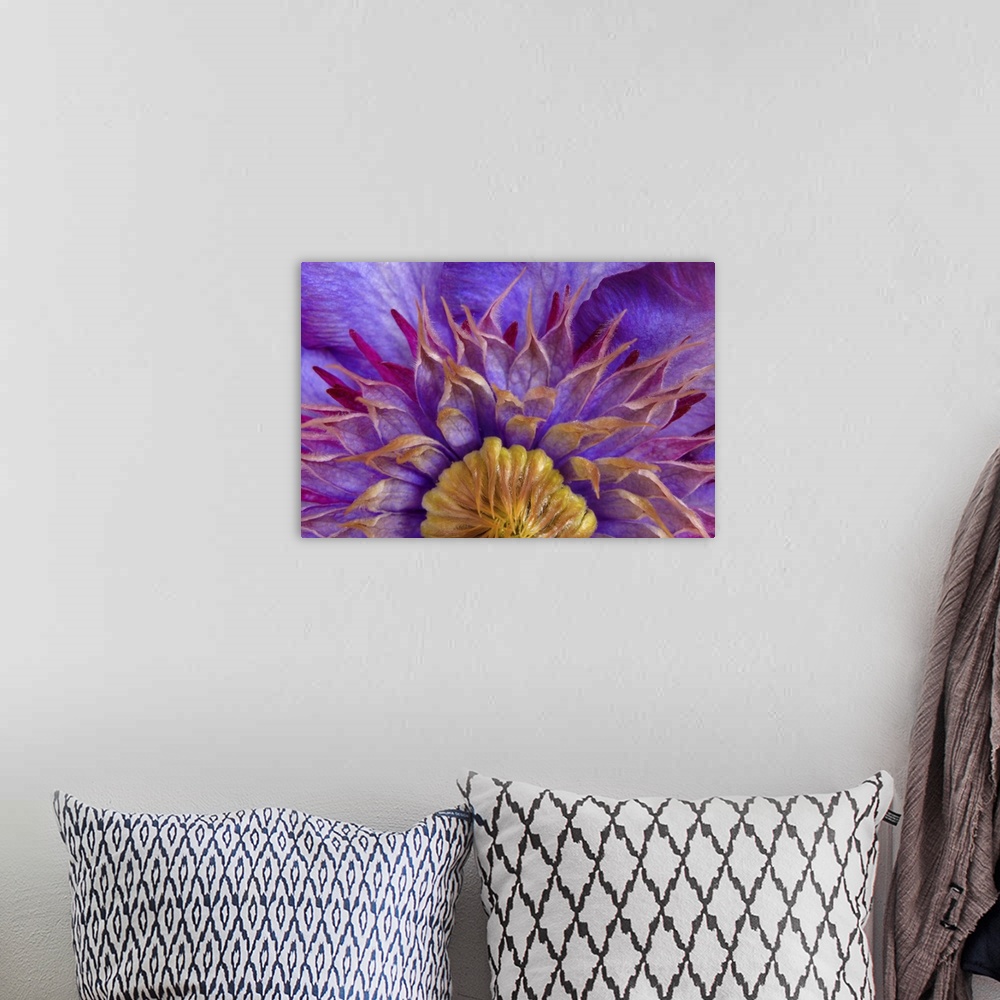 A bohemian room featuring Close-up of part of clematis blossom.