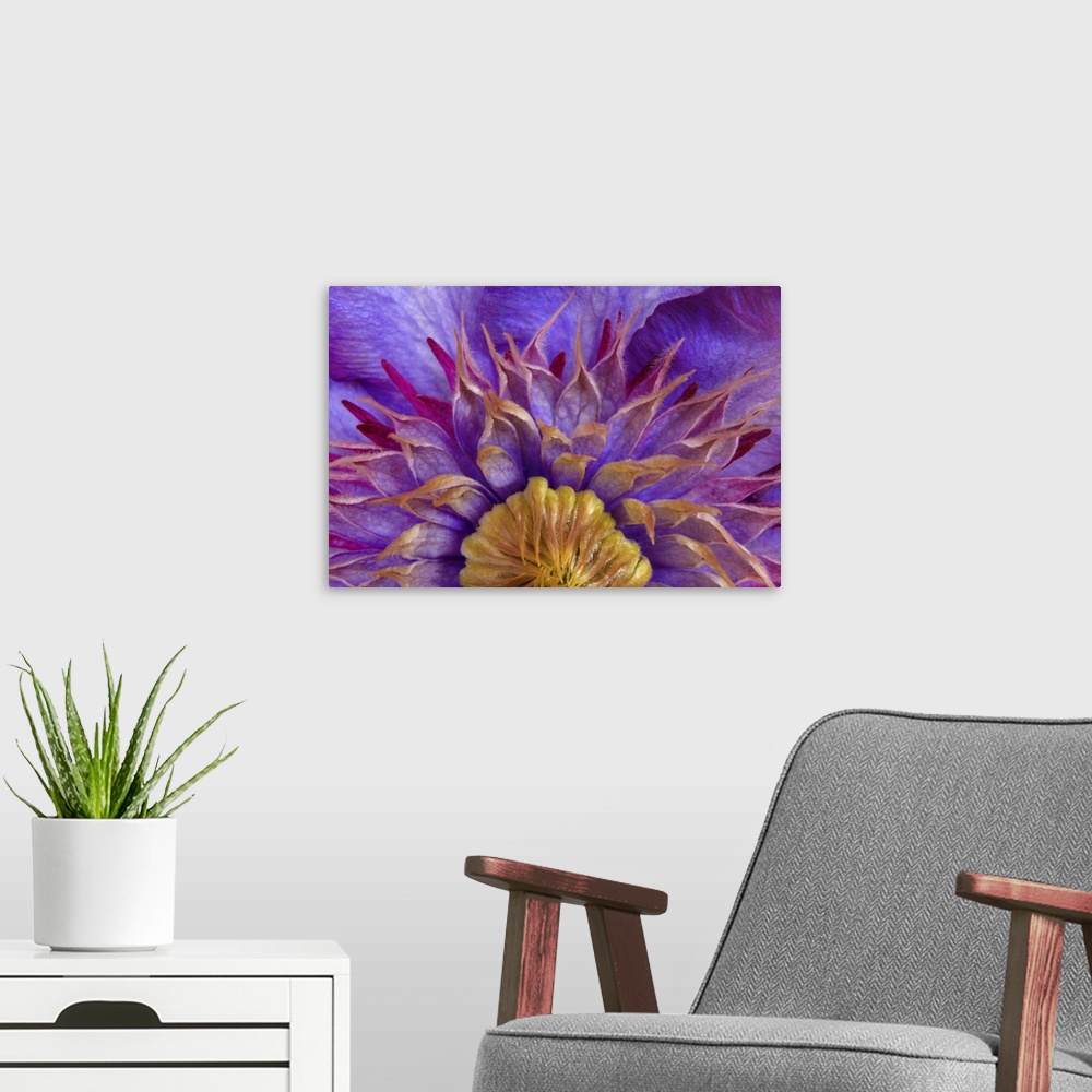 A modern room featuring Close-up of part of clematis blossom.