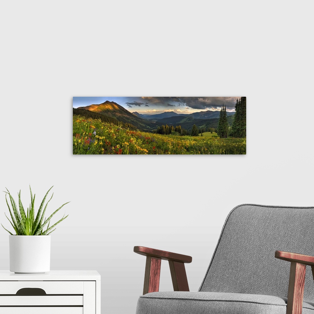 A modern room featuring Colorado, crested butte, wildflowers.