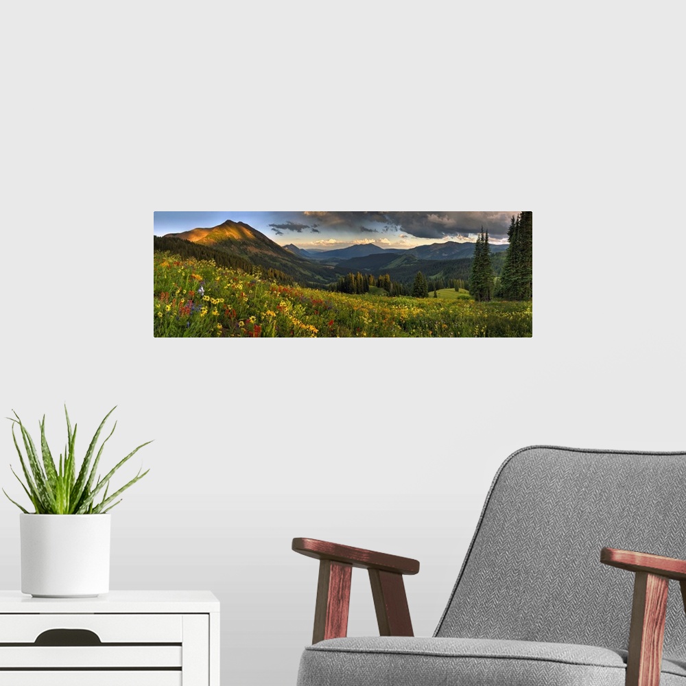 A modern room featuring Colorado, crested butte, wildflowers.