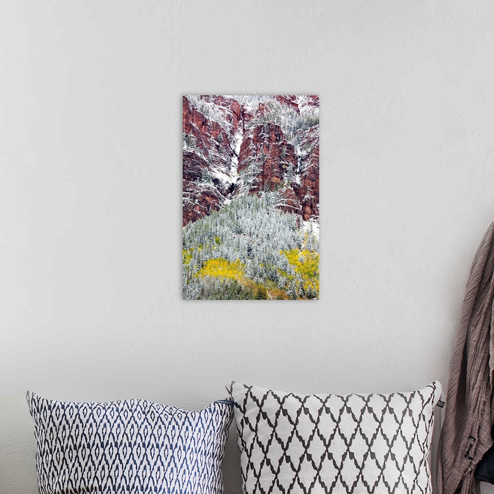 A bohemian room featuring North America,USA, Colorado,First Snow over the Red Cliffs and Aspens of Redstone Colorado