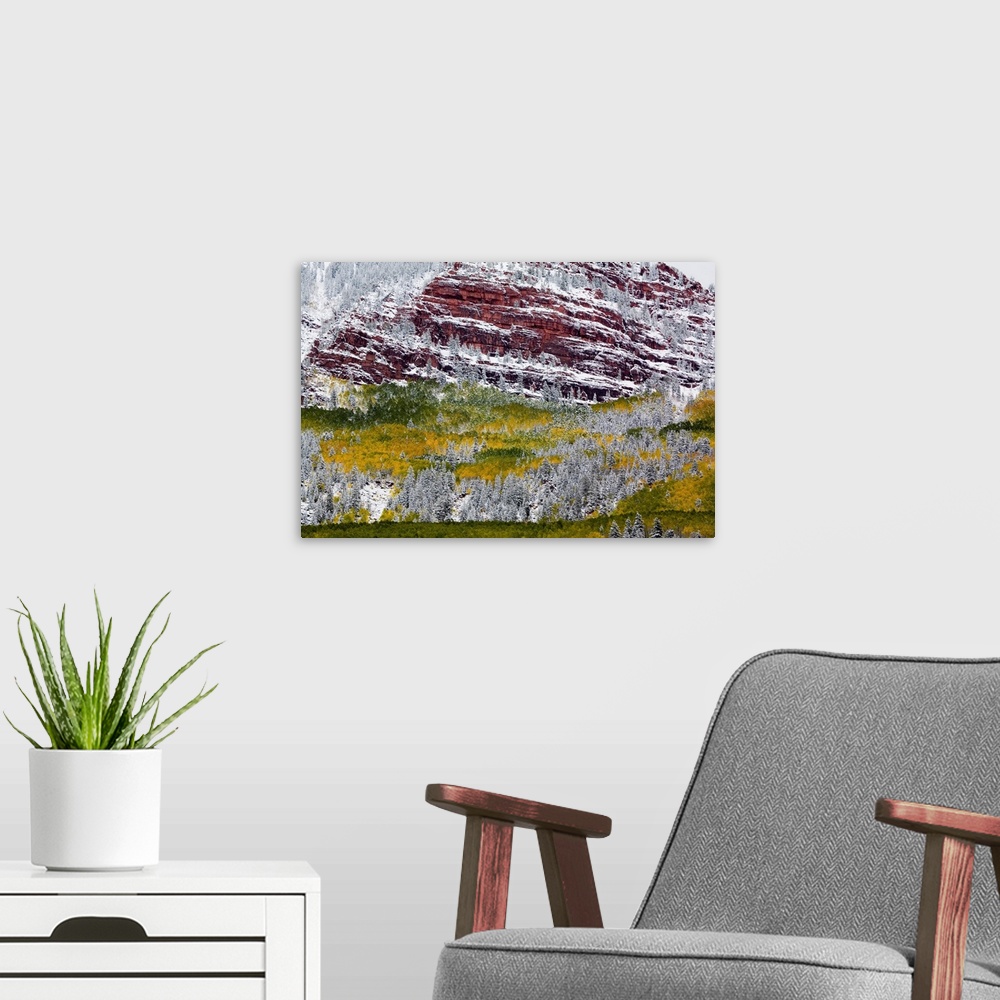 A modern room featuring North America,USA, Colorado,First Snow over the Red Cliffs and Aspens of Redstone Colorado