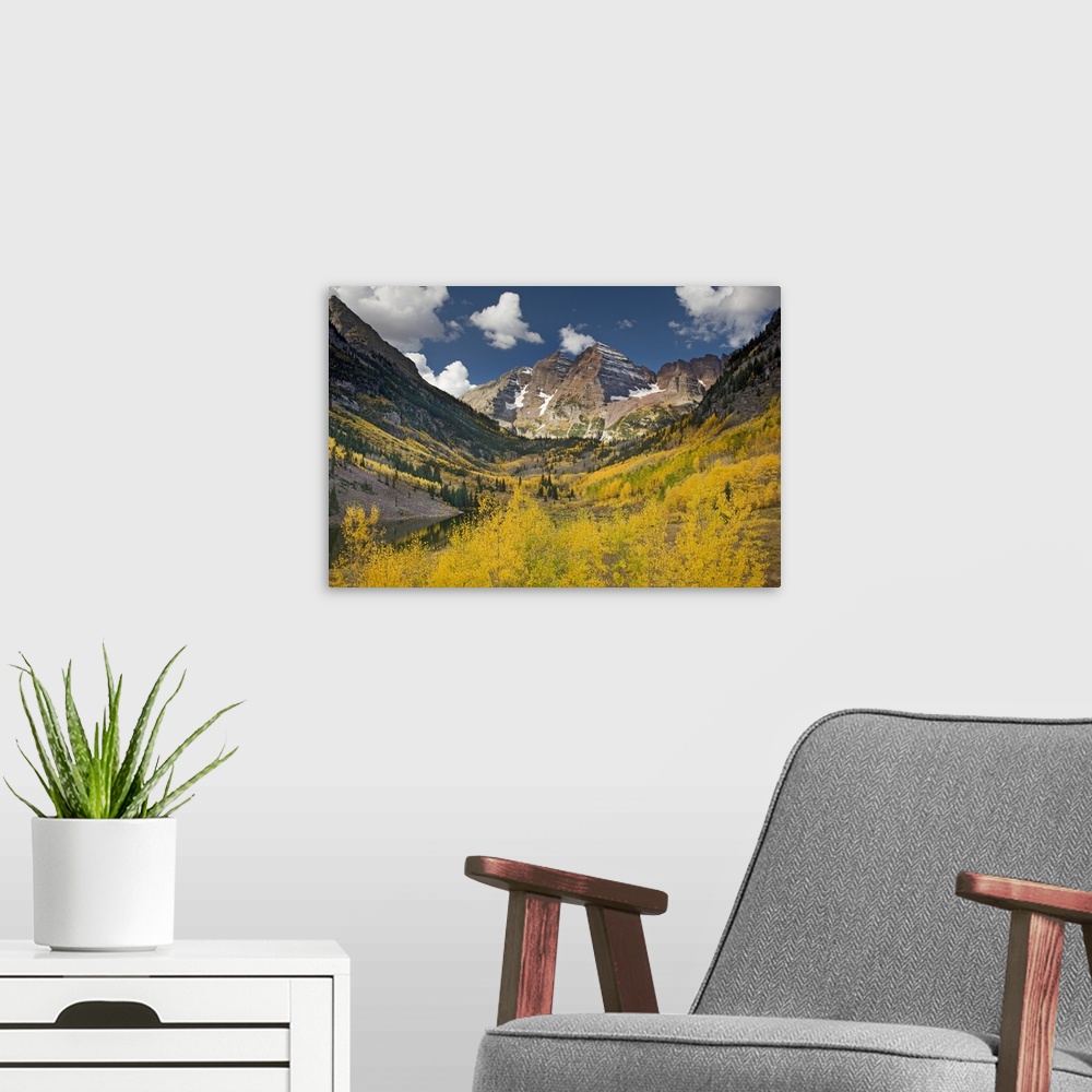 A modern room featuring USA, Colorado, Maroon Bells State Park. Aspen trees in autumn color. Area