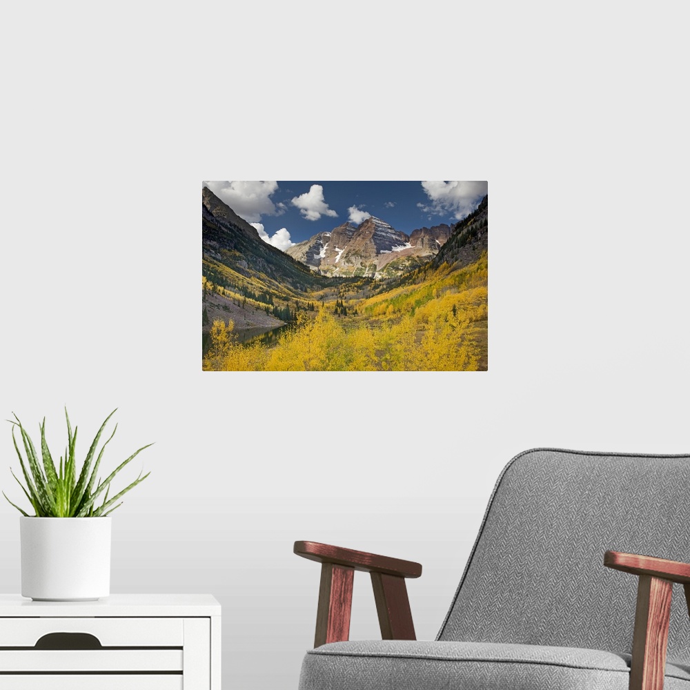 A modern room featuring USA, Colorado, Maroon Bells State Park. Aspen trees in autumn color. Area