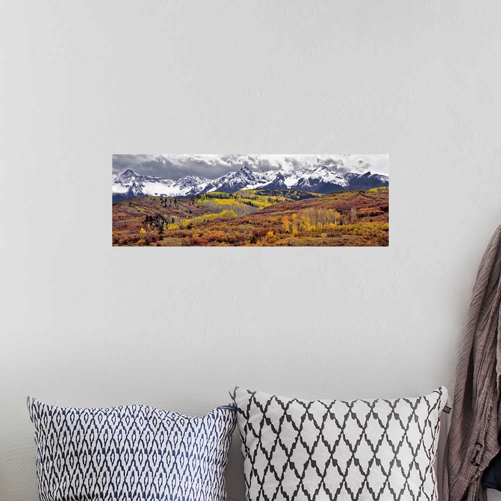 A bohemian room featuring USA, Colorado, San Juan Mountains. Autumn turns aspen leaves orange and gold at Dallas Divide in ...