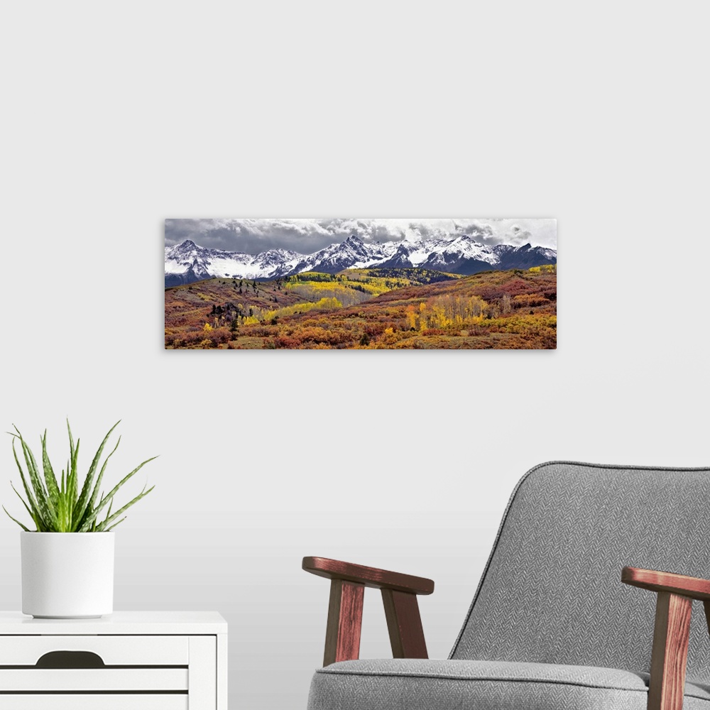 A modern room featuring USA, Colorado, San Juan Mountains. Autumn turns aspen leaves orange and gold at Dallas Divide in ...