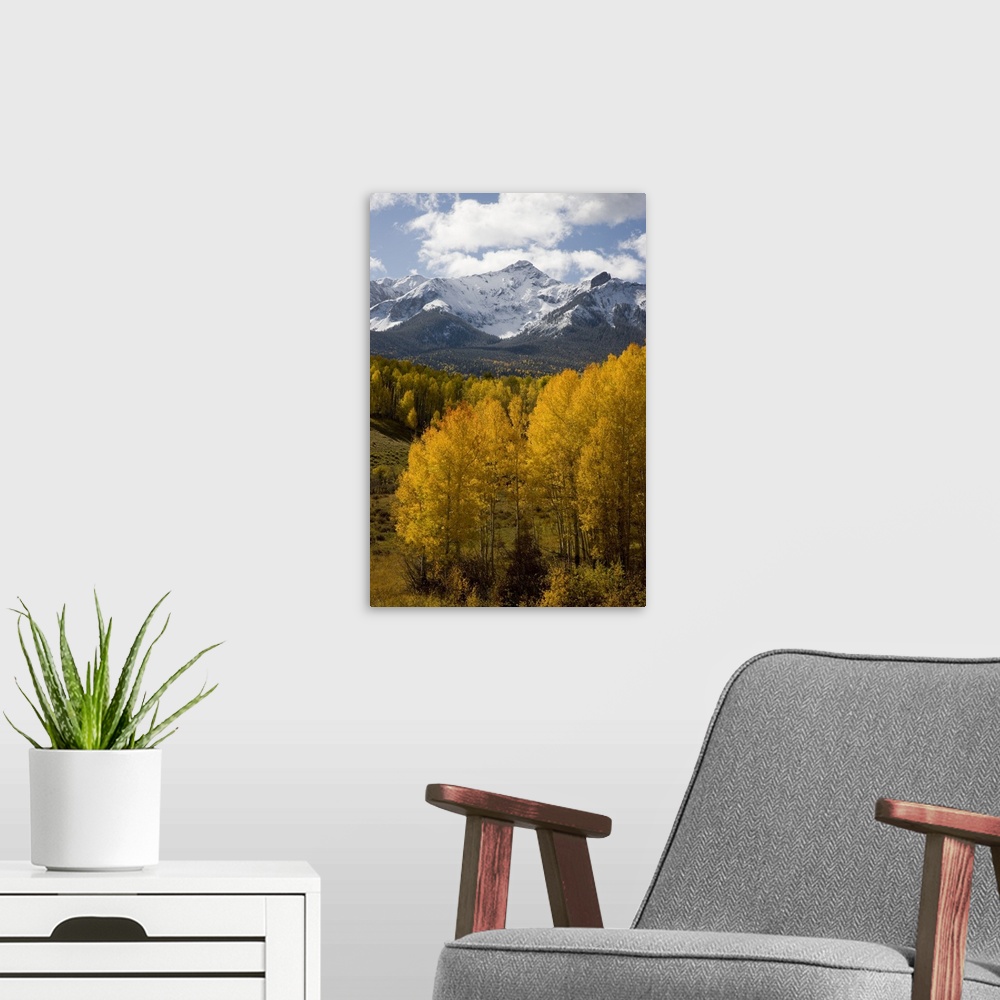 A modern room featuring USA, Colorado, San Juan Mountains, Uncompahgre National Forest. Fresh snow on North Pole Peak aft...