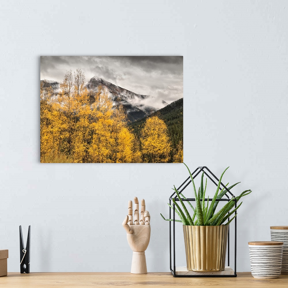 A bohemian room featuring USA, Colorado, Silverton, Clearing storm and fall color on the Alpine Loop