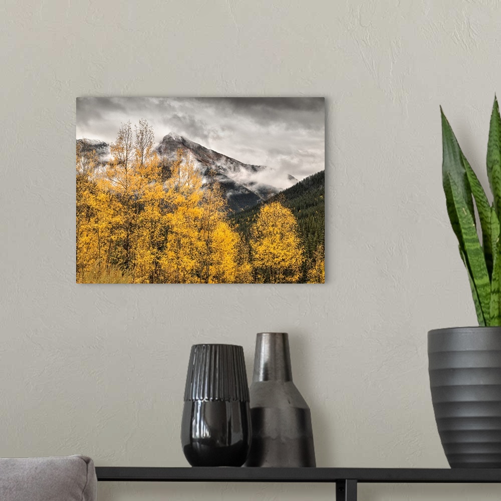 A modern room featuring USA, Colorado, Silverton, Clearing storm and fall color on the Alpine Loop