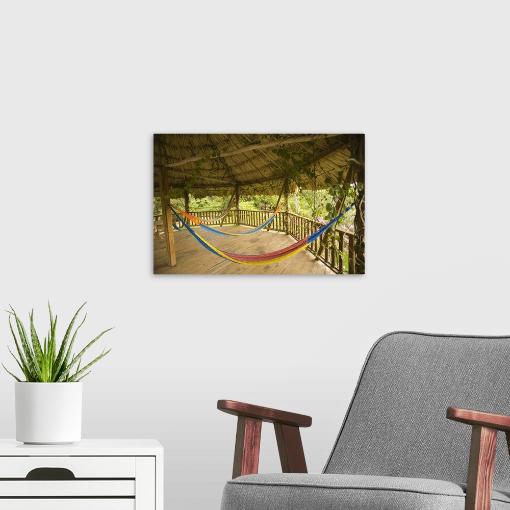 A modern room featuring Colorful hammocks in platform of thatched palapa in forest, Jaguar Reef Lodge, Hopkins, Stann Cre...