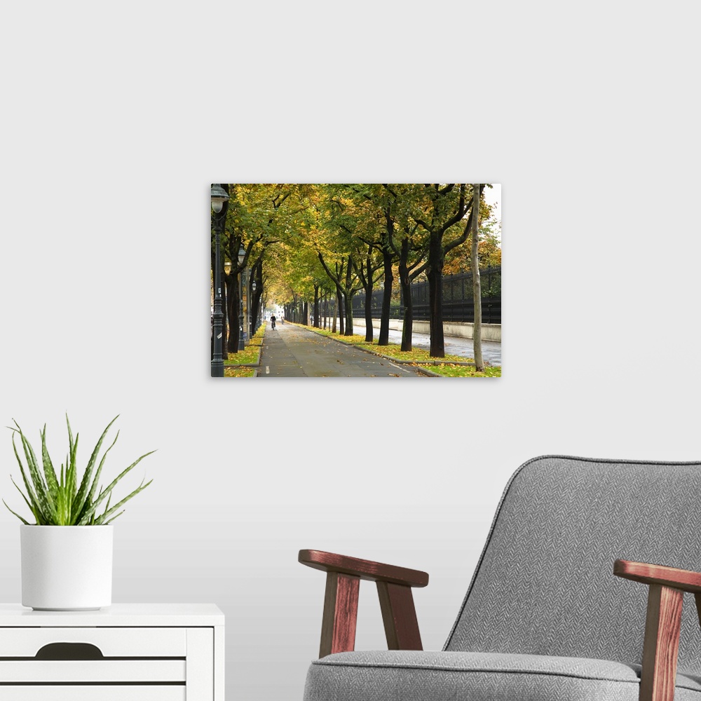 A modern room featuring Copenhagen, Denmark - A city bike path near a park is lined with trees. In the background is a pe...
