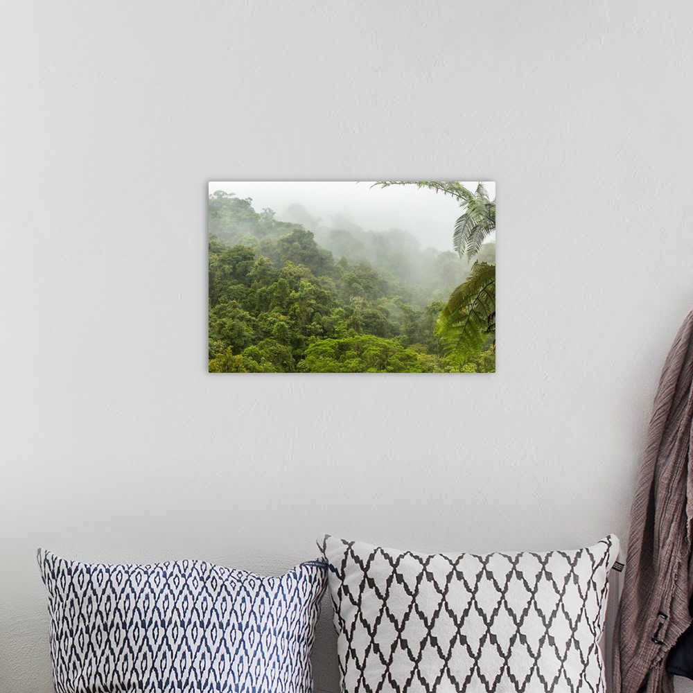 A bohemian room featuring Costa Rica, La Paz River Valley, La Paz Waterfall Garden. Fog over rainforest. Credit: Cathy & Go...